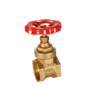 VALVULA DE COMPUERTA 1/2" MP TOOLS