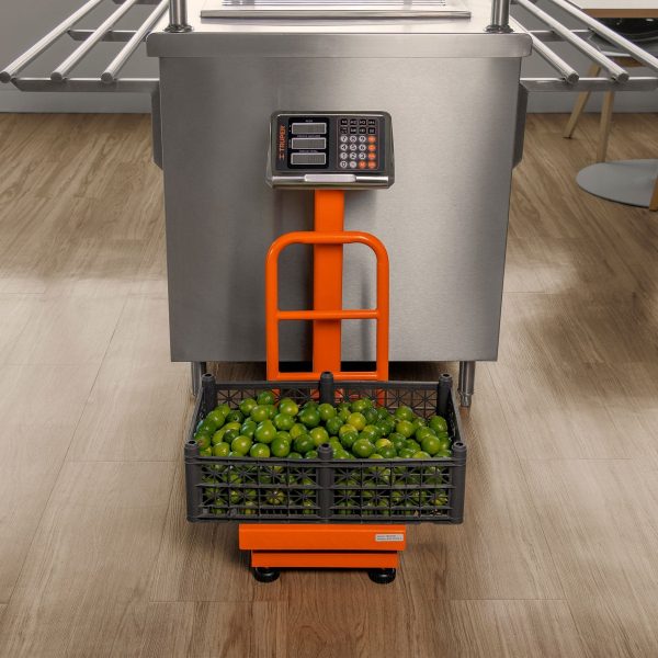 BASCULA ELECTRONICA DE PLATAFORMA PLEGABLE 100 KG TRUPER - Imagen 3