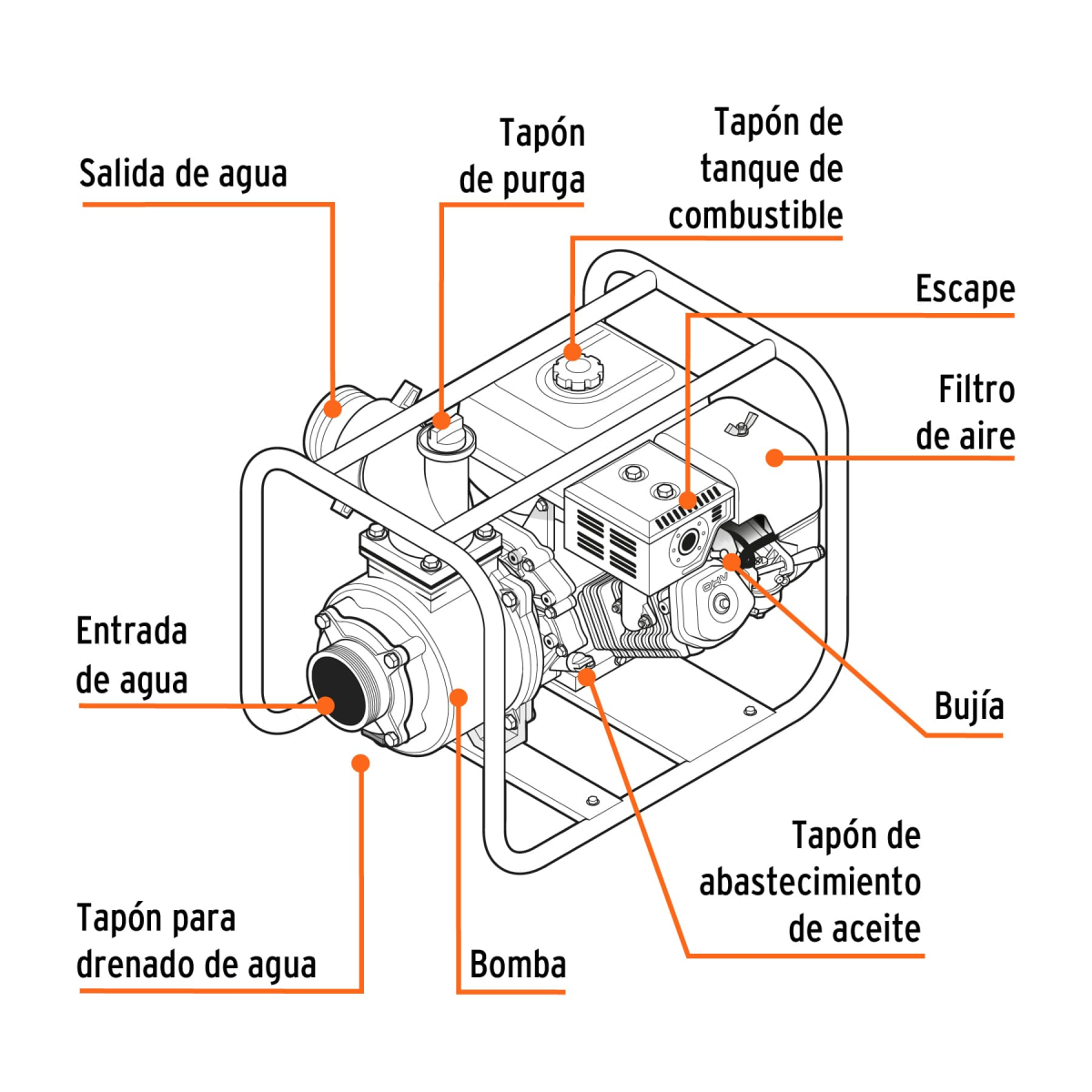 MOTOBOMBA AUTOCEBANTE 2" X 2" A GASOLINA 7 HP TRUPER - Imagen 3