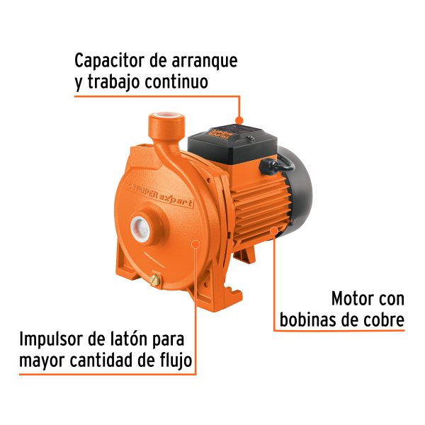 BOMBA CENTRIFUGA PARA AGUA MODELO EUROPEO 1 HP TRUPER EXPERT - Imagen 2