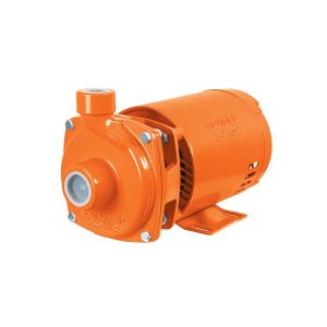 BOMBA CENTRIFUGA PARA AGUA 3/4 HP TRUPER EXPERT